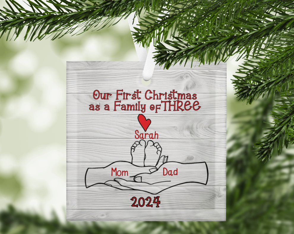 Our First Christmas as a Family of THREE